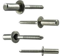 Clous à tête plate étanches 48 x 12 mm | acier inoxydable VA A2 V2A - 50 pièces
