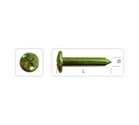 Clous d'arpenteur acier 50 mm D9 mm METRICA 100PCS - 00250