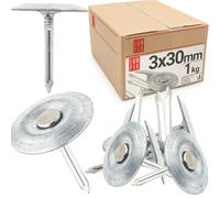 Clous de toiture galvanisés 3x30mm avec rondelle - boîte 1kg (env.152 pcs), clou feutre bitumé, shingle, pointe pour toit cabane, abri jardin, maison bois, clous vis et fixations | Lun Fix