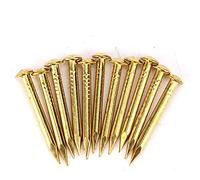 Clous d'écusson en laiton, clous filetés Clous de rembourrage Accessoires de quincaillerie pour charnières de meubles Mini clou en laiton à tête ronde Accessoires de quincaillerie charnières m(22mm)