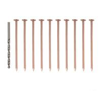 Clous en cuivre pour tuer les arbres et enlever les souches - Kit de destructeur de racines avec foret pour travaux de jardin et cour - Pointes en cuivre pur de 8,9 cm pour arrêter efficacement la