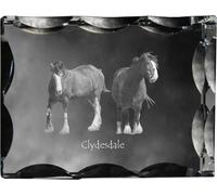 Clydesdale - crystal with a picture of a horse, glass statuette with a picture, unique frame with a picture from Art-Dog brand