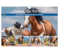 Clydesdale Sommer. Schottische Pferde auf dem Farmland (Wandkalender 2027 DIN A4 quer), CALVENDO Monatskalender: Die kraftvolle Eleganz schottischer ... in all ihren Facetten auf weiten Farmwiesen
