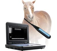 CMS600P2 VET 10.1" Scanner numérique vétérinaire à ultrasons Ordinateur portable portable Machine pour animaux avec sonde rectale de 7,5 MHz, cheval / vache / mouton