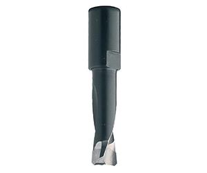 CMT 380.050.11 FRAISE HW POUR DOMINO-FESTOOL S=M6X0.75 D=5X20X49 DR