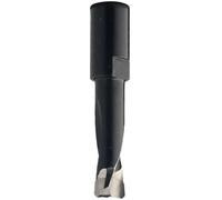 Cmt C380 Mèche à fraiser pour Domino Festool - D6x28 L49 S=M6x0,75