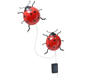 Coccinelles solaires avec éclairage LED, lot de 2