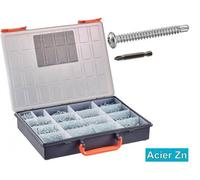 Coffret 2154 Pcs Vis Autoperceuses TC Phillips + Embouts - DIN 7504 M - Acier Zn - D-Work