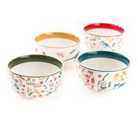 Coffret 4 mini bols Marius