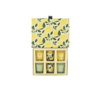 Coffret 6 Bougies Parfumées Vintage 8cm Citronnelle