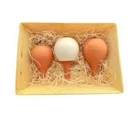 Coffret Cadeau 3 Ollas à Planter en Terre Cuite - Arrosage Autonome Écologique pour Plantes en Pot - Idée Cadeau Jardinage Originale - Fabrication française
