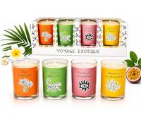 Coffret Cadeau 4 Bougies Parfumées Voyage Exotique - Îles Tropicales, Safari Africain, Escapade Orientale - Bougies en Verre - 10h de Combustion - Décoration Intérieure & Idée Cadeau Femme.