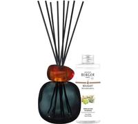 Coffret cadeau diffuseur d'arômes Mineral Black + recharge Wilderness 180 ml