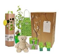 Coffret cadeau - naissance - bouleau