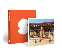 Coffret Cadeau SMARTBOX - Séjour Puy du Fou® : Billets d’entrée pour 2 adultes et 2 enfants (2 jours) et nuit à l’Hotel La Villa