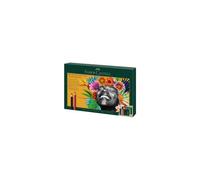 FABER-CASTELL 210054 FABER-CASTELL Polychromos & Pitt Graphite Matt Malset farbsortiert, 50 St.