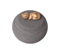 Coffret Crémation Pour Animaux Contenant décoratif souvenir commémoratif