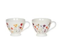 Coffret de 2 déjeuner Iris 39 cl
