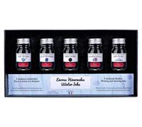 Coffret de 5 flacons d'encre de 10 ml pour stylos plume et stylos roller, couleurs hivernales assorties