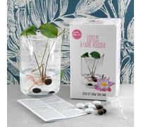 Coffret de culture du lotus
