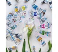Coffret en bois aquarelle Van Gogh, set de 24