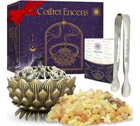 Coffret Encens Oliban Naturel - 100g d'Encens Boswellia Serrata, Encensoir et Pince en Acier Inoxydable - Idéal pour la Purification & Méditation (Encens Oliban 100g)
