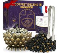 Coffret Encens Pontifical en Grains - 100g d'Encens Pontifical en Grains, Encensoir et Pince en Acier Inoxydable - Idéal pour la Purification & Cadeau Parfait