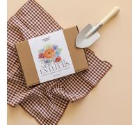 Coffret fleurs • 12 sachets de graines
