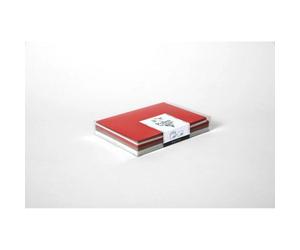 Coffret Pollen uni de 20 enveloppes 114x162mm + 20 cartes 110x155mm - Assortiment Noël scandinave - Assortiment
