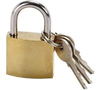 COGEX 80017 Cadenas 30 mm avec 3 Clés - Cadenas de Sécurité en Acier pour Casier, Armoire, Valise et Boîte à Outils - Compact et Résistant