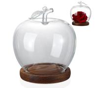 COHEALI Dôme Décoratif en Verre avec Base en Bois pour Bureau | Protection Pratique, Pose Facile sur Table, Style Novateur, Aspect Soigné, Usage Bureau et Desktop