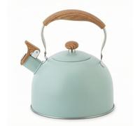 Colcolo Bouilloire en Acier Inoxydable 316 Théière Siffleuse Casserole à eau Cafetière Grande Familiale Sonnerie de Sifflet Claire Anse Fixe Courbée Corps, Array, Vert Clair