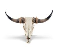 Colcolo Tête Murale Décorative Crâne de Taureau Faux avec Cornes Élançées Sculpture Murale en Résine Imitation Vieille Style Western et Adaptée aux Séjours, Cornes Brunes Intégrées