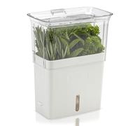 Pot de fleur TEALBY 15 cm, blanc, plastique, Cole & Mason