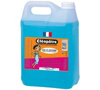 Colle Cléopâtre Océane Extra Forte pour Carton Transparente Bidon 5000 g | Bidon