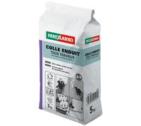 Colle enduit tous travaux Parexlanko 5kg