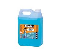 Colle Marine - 5 Kg - Cléopâtre