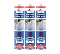 Colle ms, polymère, mastic d'étanchéité Blanc Pur - RAL 9010 290 ml x 3 - ARCANE INDUSTRIES