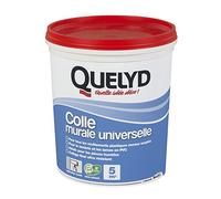 Colle Murale QUELYD Universelle - 1 kg - Prêt à l'emploi