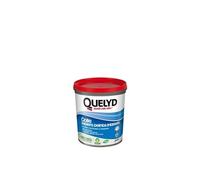 Colle Pate papier peint intisse QUELYD, 1 kg