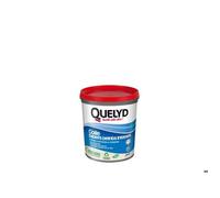 Colle Pate papier peint intisse QUELYD, 1 kg