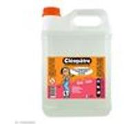 Cléopâtre - CT2L - Colle transparente - Bidon 2 Kg