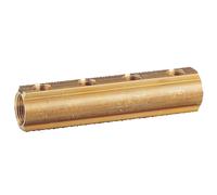 Collecteur 10 S R551/10 1''x1/2'' GIACOMINI R551Y070