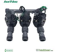 Collecteur à 3 stations avec électrovanne Rain Bird HV 24V