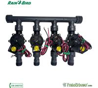 Collecteur à 4 stations avec électrovanne Rain Bird DV 9V