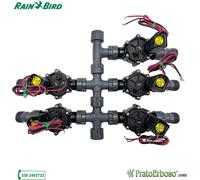 Collecteur à 5 stations avec électrovanne Rain Bird DV 9V