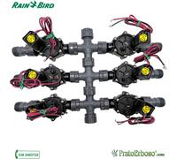 Collecteur à 6 stations avec électrovanne Rain Bird DV 9V