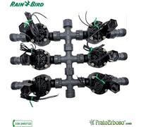 Collecteur à 6 stations avec électrovanne Rain Bird HV 24V