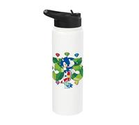 Collection 35e anniversaire de Sonic the Hedgehog Stainless Steel Insulated Water Bottle