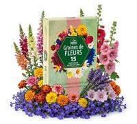 Collection de graines de fleurs inspirées de la RHS - 15 variétés de fleurs de jardin, polyvalentes et respectueuses des abeilles